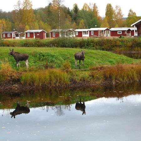 Klaralvens Camping Hotel Stollet Room photo