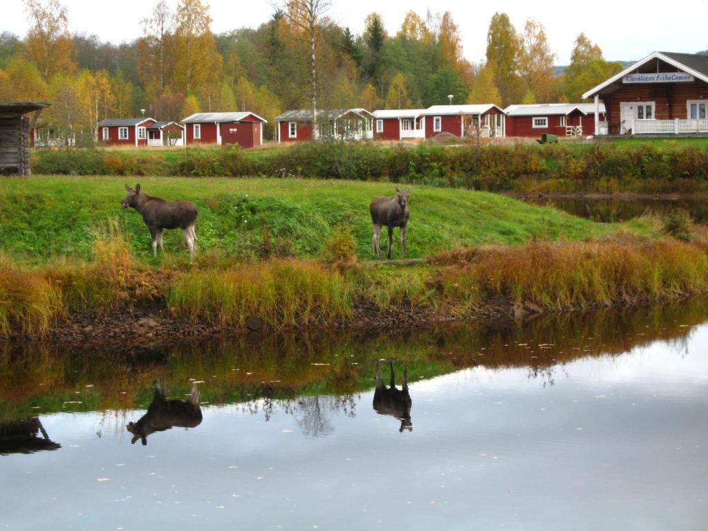 Klaralvens Camping Hotel Stollet Room photo